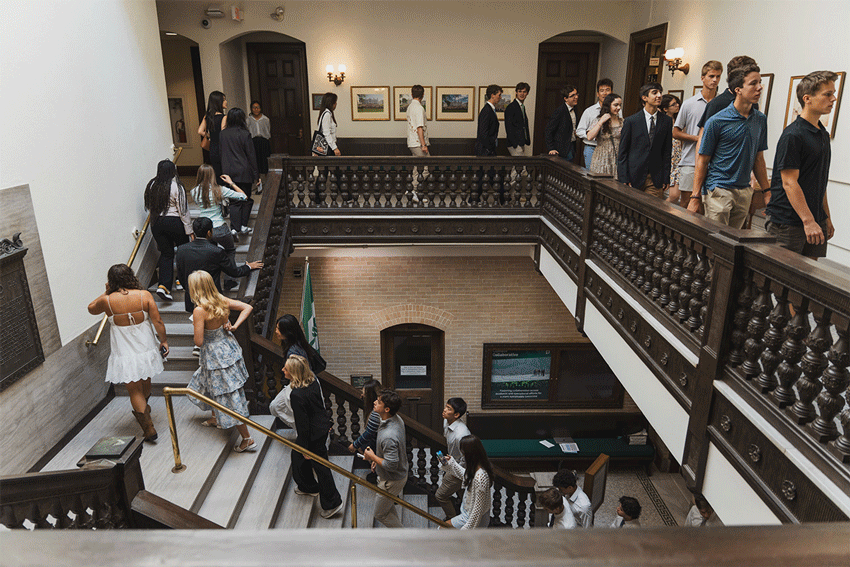 Photos from the gallery